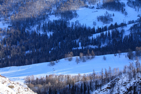 喀纳斯阿勒泰山区禾木雪景