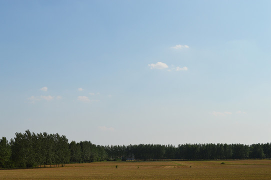 夏日晴空 蓝天白云