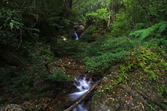 山溪水