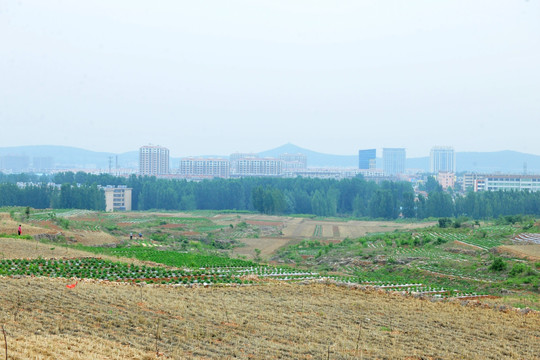 大地风景 田野风光