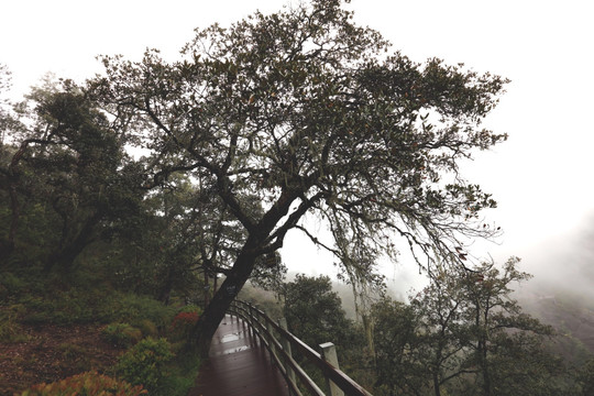 老君山黎明景区