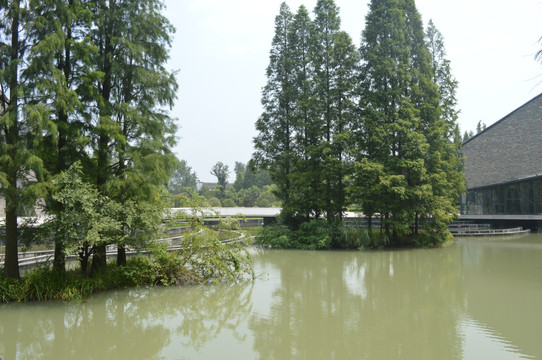 上海风景 河流 小溪