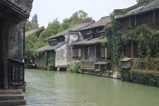 上海 古镇 河流 小溪