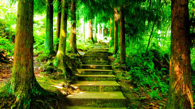 石阶 幽静小路
