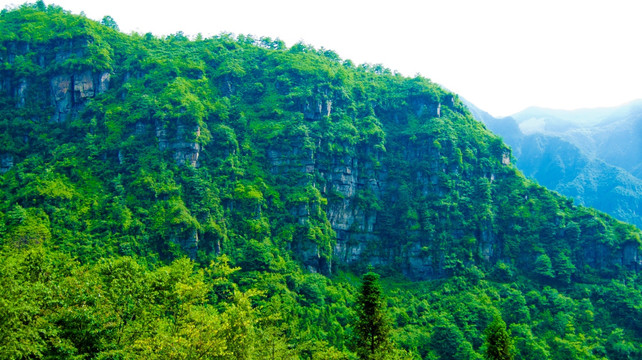 青山