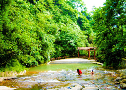 溪水 石板 戏水