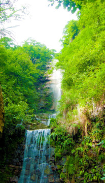 山崖不怕 高山流水