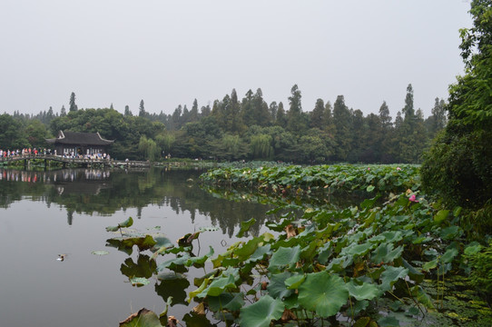 湖景