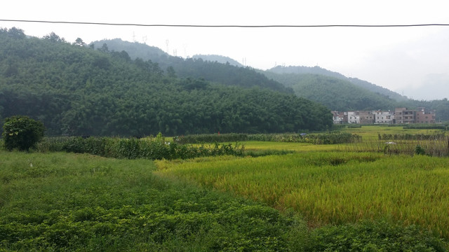 田园自然风景