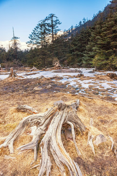 螺髻山风光