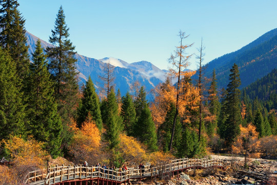 黑水达古冰山风光