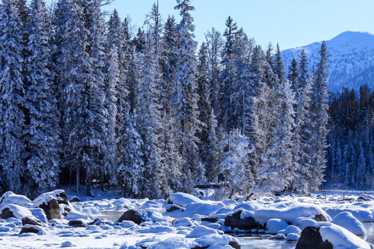 喀纳斯阿勒泰山区禾木雪景