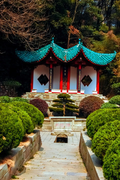湖南君山