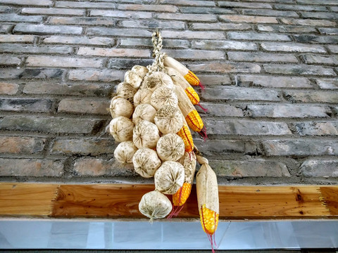 农家乐民居装饰大蒜玉米棒子