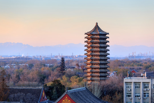 北京大学校园风光博雅塔冬景