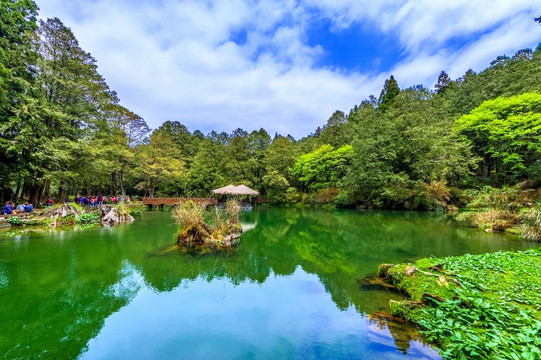 姊妹潭 台湾阿里山