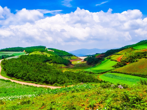 东川红土地