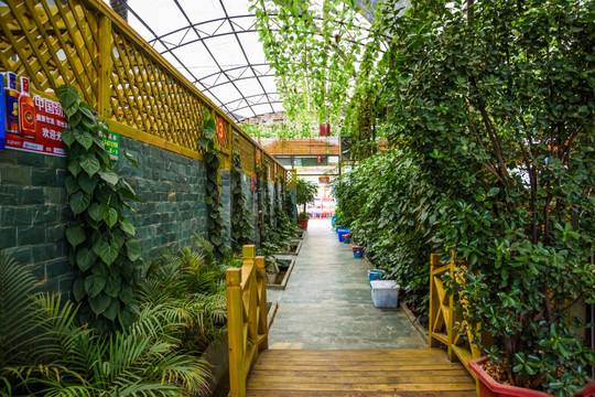 室内绿化餐厅