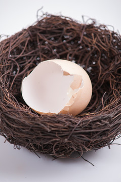 鸟巢中的破碎鸡蛋
