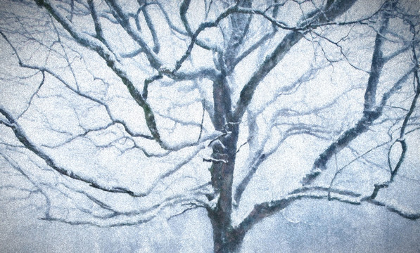 冬天的树油画装饰画
