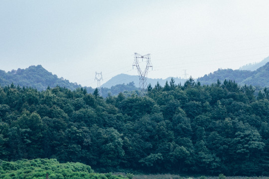 景德镇近坑田野风光