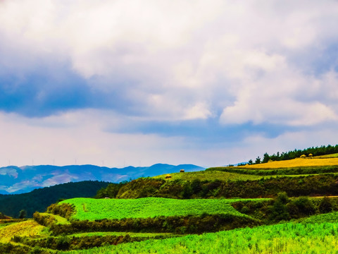 高山梯田