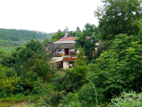 山区 森林里的小屋