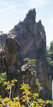 黄山