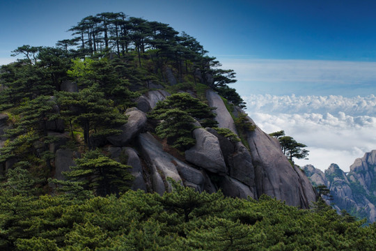 黄山