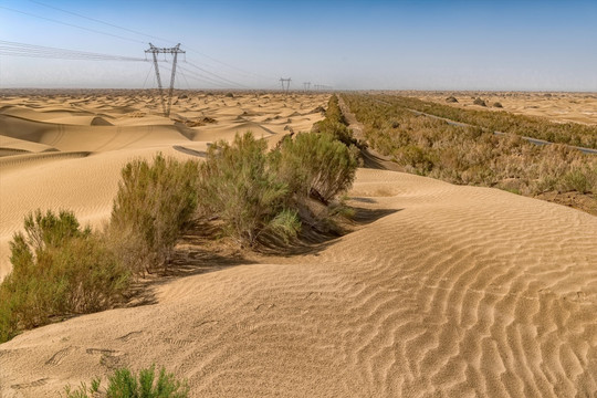 沙漠公路固沙工程