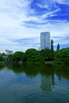 水池风光