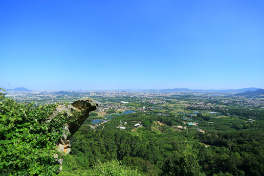 厦门 集美 双岭 灵龟岩 全景