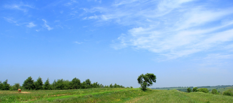 坝上风光 草原牧场