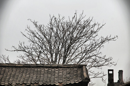 平遥古城 街道