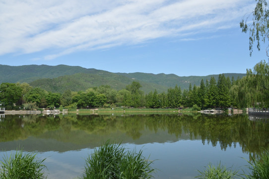 植物园美景