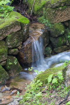 黄山 山泉