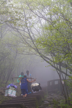 黄山 挑夫