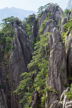 黄山