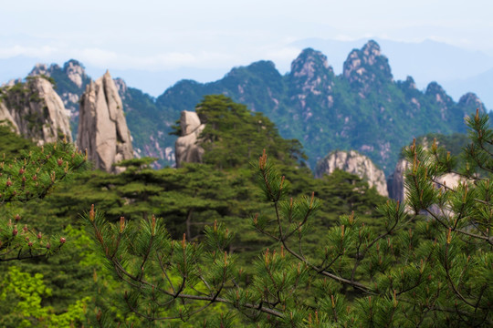 黄山