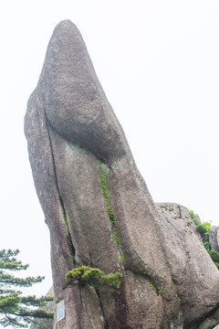 黄山 巨石