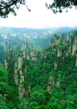 张家界 山水风景 石林