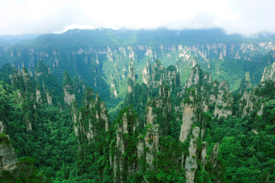 张家界 山水风景 石林