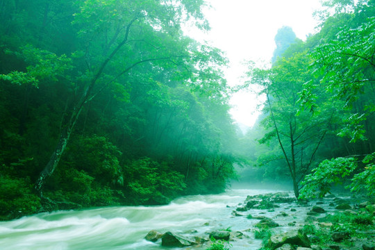 张家界 山水风光 溪流