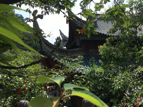 佛寺屋檐绿树天空