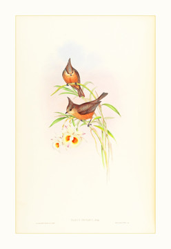 小鸟花卉水彩画装饰画