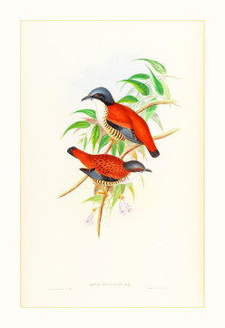 欧式古典花鸟装饰画画芯