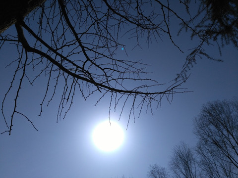 阳光天空