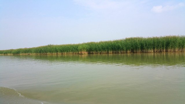 湿地公园
