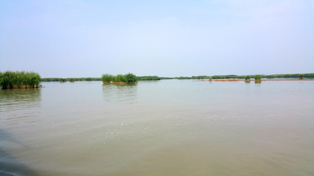 湿地公园