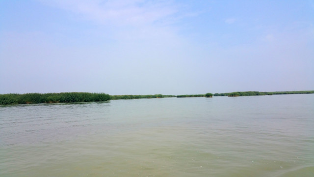 湿地公园